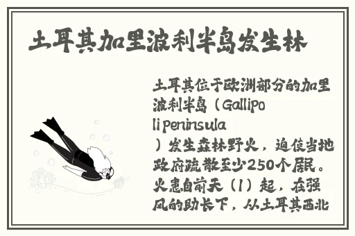 女生迈开腿打扑克又疼又叫